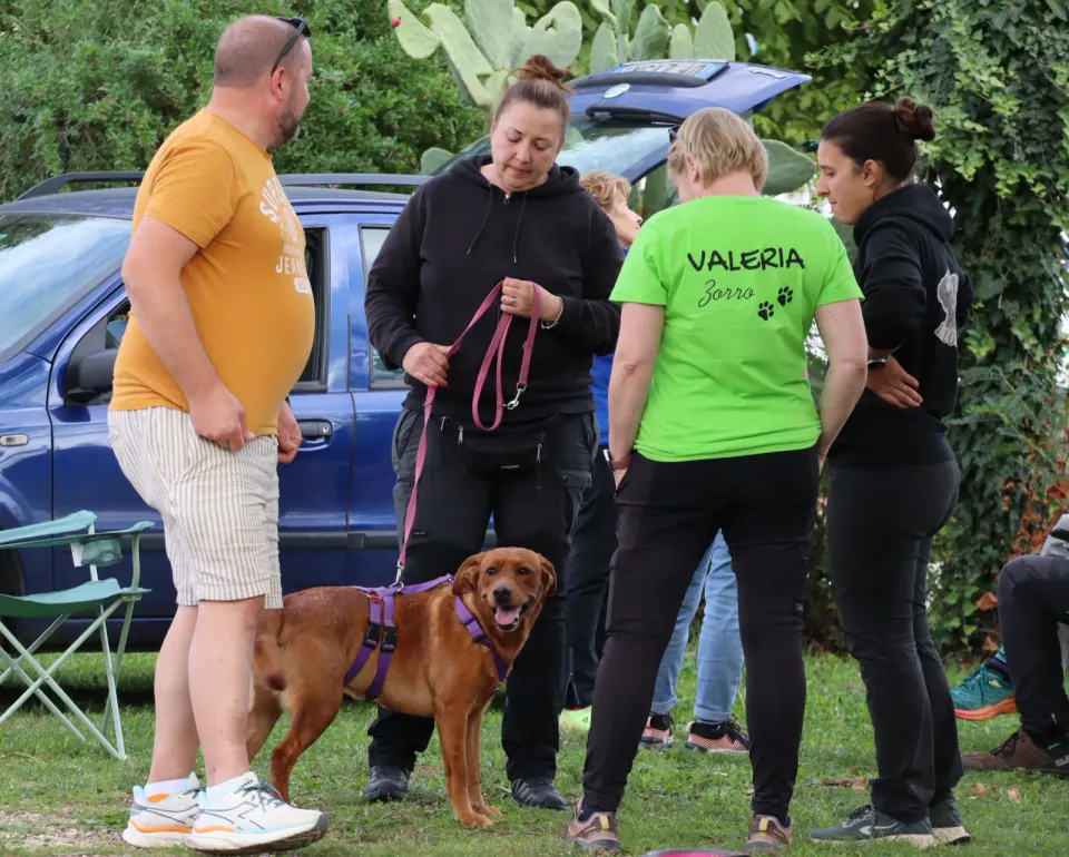 Foto GEM DOG A.S.D.: Gara interregionale di mantrailing MSP, Leproso, 11 ottobre 2026, foto 171 di 215