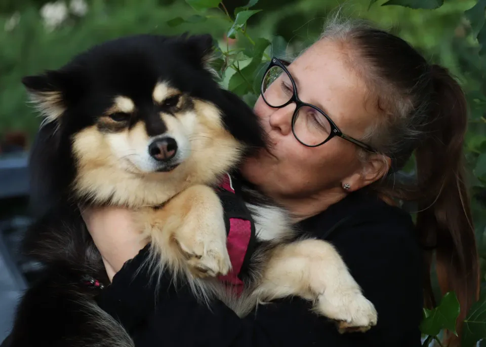 Foto GEM DOG A.S.D.: Gara interregionale di mantrailing MSP, Leproso, 11 ottobre 2026, foto 186 di 215