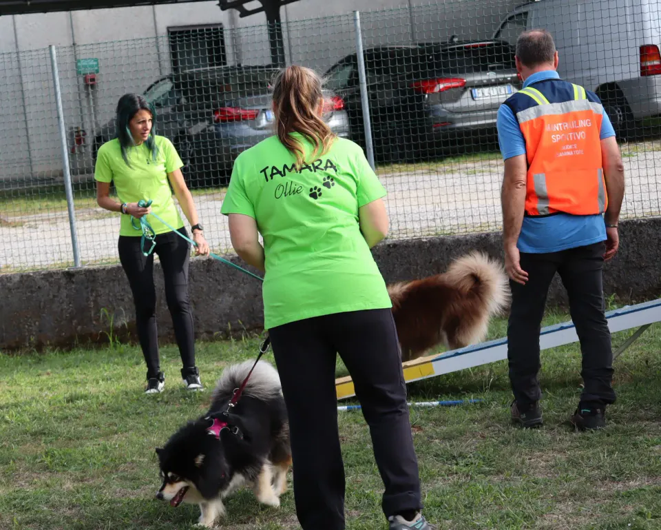 Foto GEM DOG A.S.D.: Gara interregionale di mantrailing MSP, Leproso, 11 ottobre 2026, foto 196 di 215