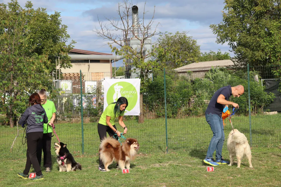Foto GEM DOG A.S.D.: podio, Gara interregionale di mantrailing MSP, Leproso, 11 ottobre 2026, foto 8 di 18