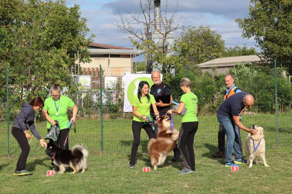 Foto GEM DOG A.S.D.: podio, Gara interregionale di mantrailing MSP, Leproso, 11 ottobre 2026, foto 9 di 18
