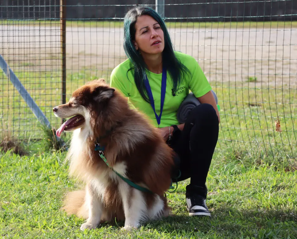 Foto GEM DOG A.S.D.: Gara interregionale di mantrailing MSP, Leproso, 11 ottobre 2026, foto 201 di 215