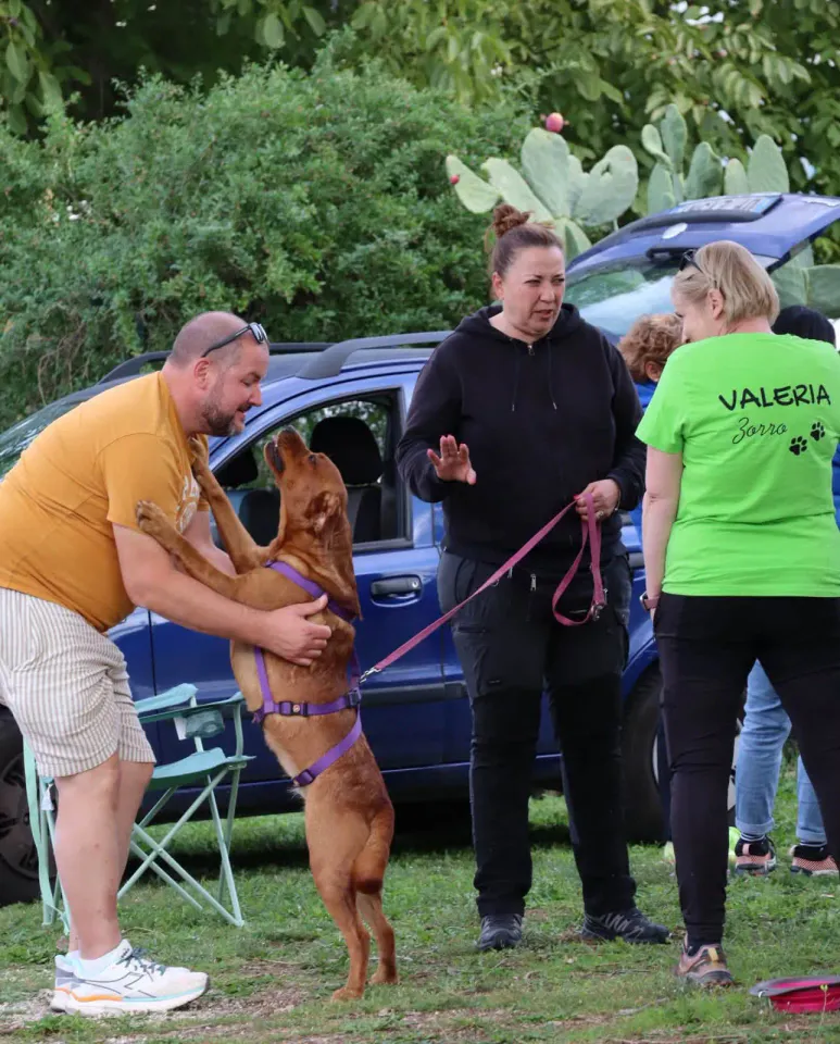 Foto GEM DOG A.S.D.: Gara interregionale di mantrailing MSP, Leproso, 11 ottobre 2026, foto 16 di 215