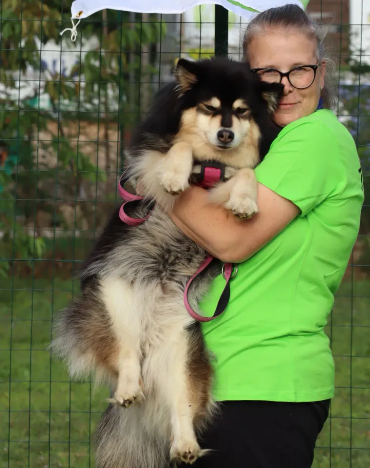Foto GEM DOG A.S.D.: Gara interregionale di mantrailing MSP, Leproso, 11 ottobre 2026, foto 212 di 215