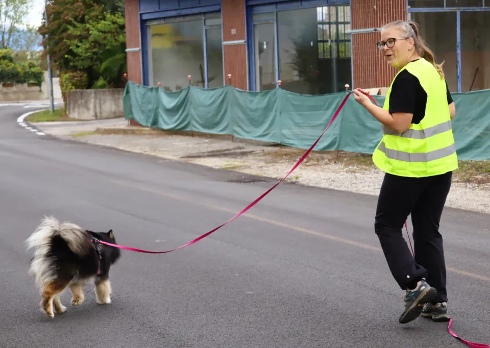 Foto GEM DOG A.S.D.: Gara interregionale di mantrailing MSP, Leproso, 11 ottobre 2026, foto 54 di 215