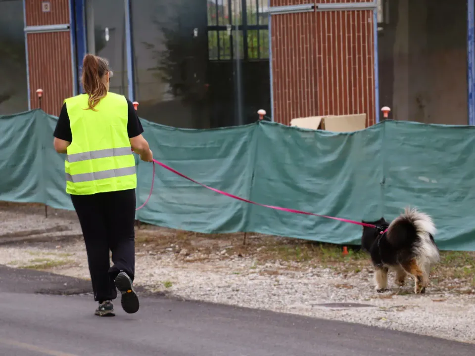 Foto GEM DOG A.S.D.: Gara interregionale di mantrailing MSP, Leproso, 11 ottobre 2026, foto 55 di 215