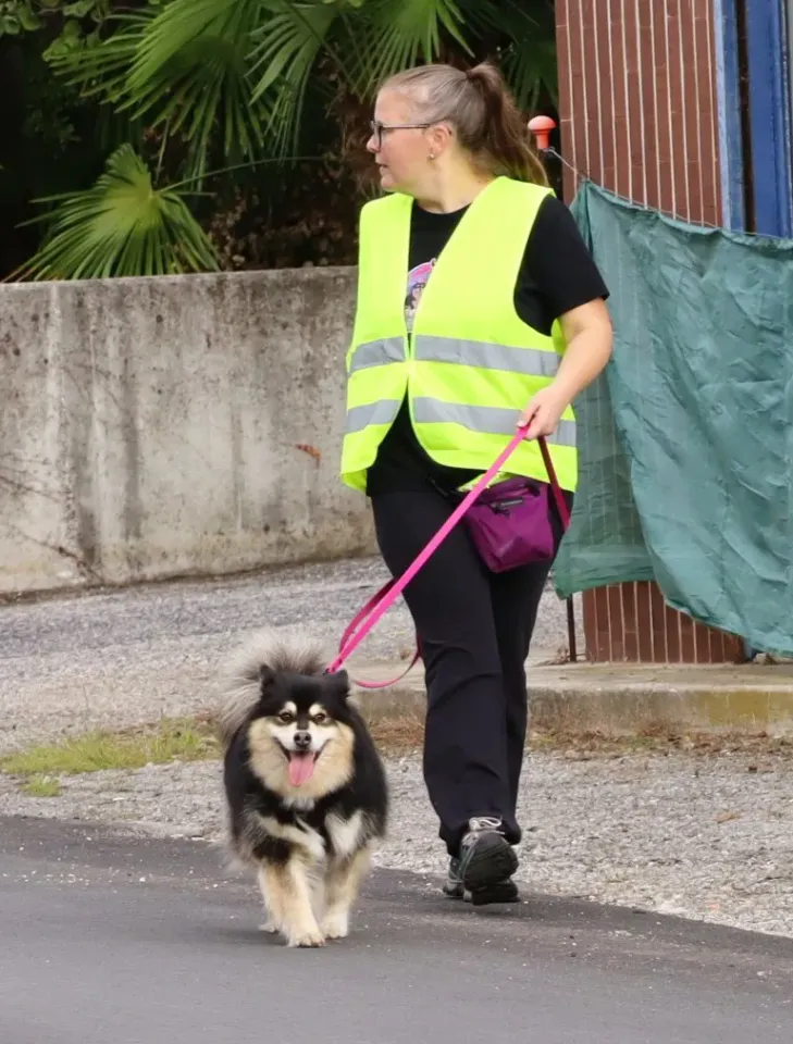 Foto GEM DOG A.S.D.: Gara interregionale di mantrailing MSP, Leproso, 11 ottobre 2026, foto 57 di 215