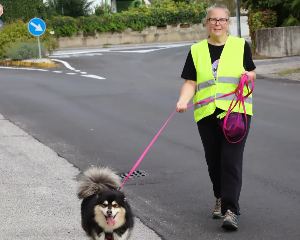 Foto GEM DOG A.S.D.: Gara interregionale di mantrailing MSP, Leproso, 11 ottobre 2026, foto 58 di 215