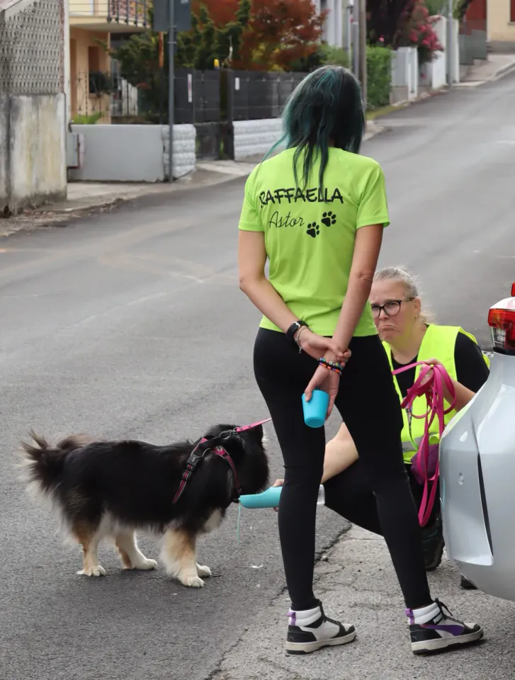 Foto GEM DOG A.S.D.: Gara interregionale di mantrailing MSP, Leproso, 11 ottobre 2026, foto 59 di 215