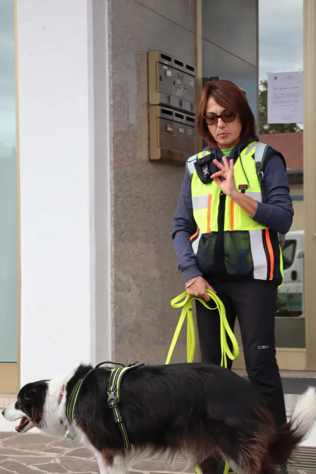 Foto GEM DOG A.S.D.: Gara interregionale di mantrailing MSP, Leproso, 11 ottobre 2026, foto 65 di 215