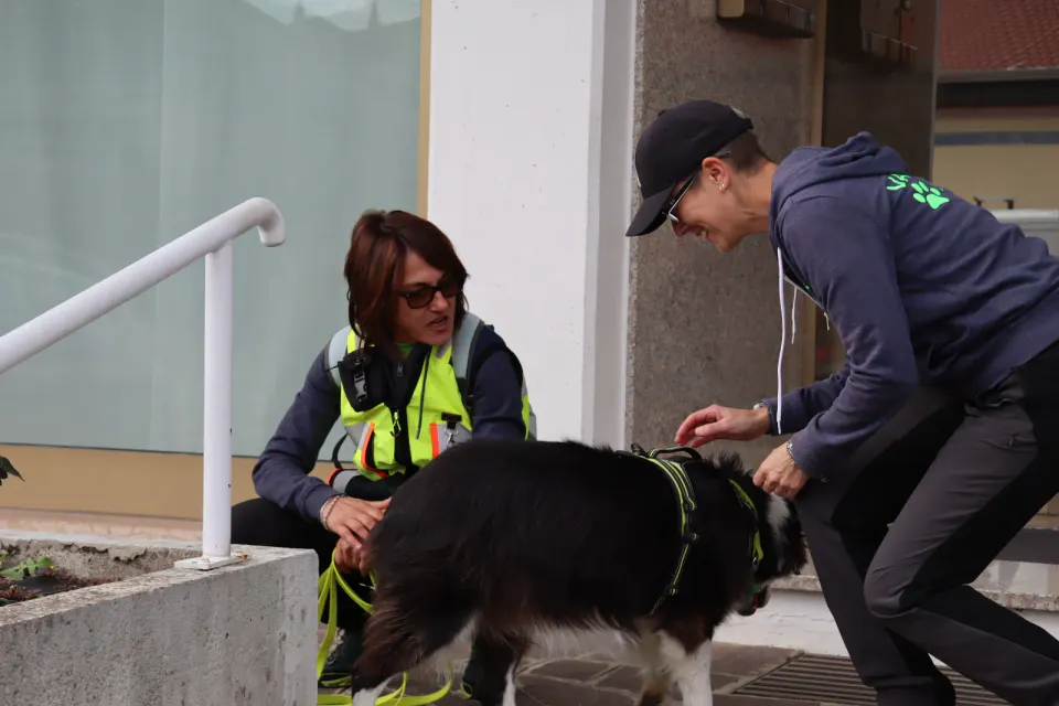 Foto GEM DOG A.S.D.: Gara interregionale di mantrailing MSP, Leproso, 11 ottobre 2026, foto 67 di 215