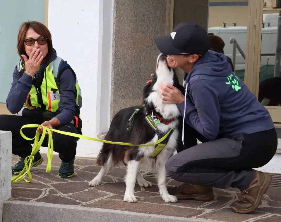 Foto GEM DOG A.S.D.: Gara interregionale di mantrailing MSP, Leproso, 11 ottobre 2026, foto 68 di 215