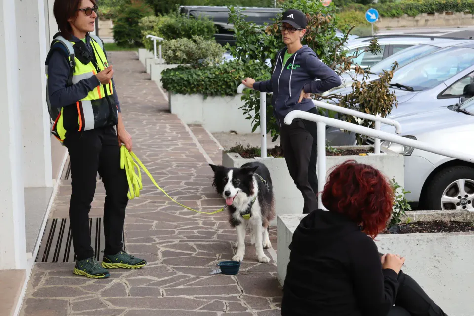 Foto GEM DOG A.S.D.: Gara interregionale di mantrailing MSP, Leproso, 11 ottobre 2026, foto 77 di 215