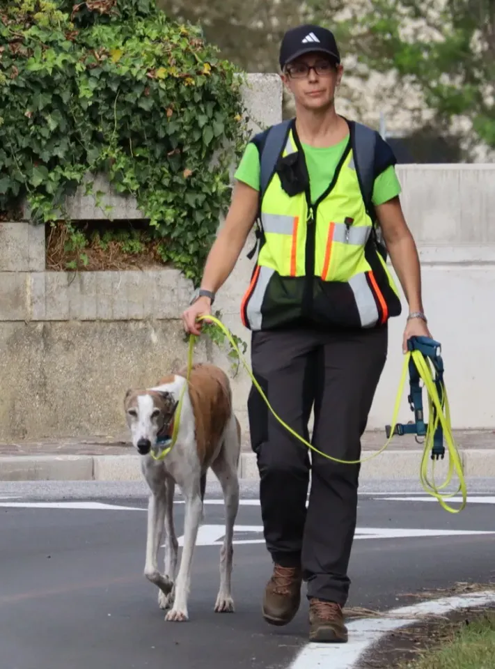 Foto GEM DOG A.S.D.: Gara interregionale di mantrailing MSP, Leproso, 11 ottobre 2026, foto 79 di 215
