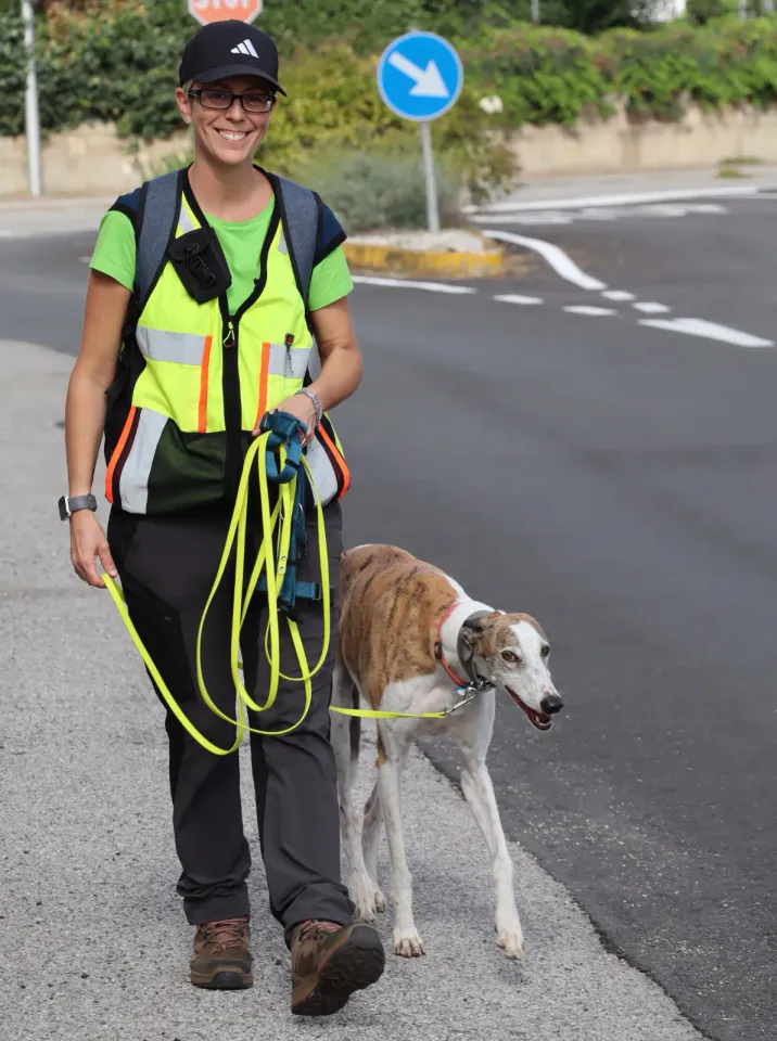 Foto GEM DOG A.S.D.: Gara interregionale di mantrailing MSP, Leproso, 11 ottobre 2026, foto 81 di 215